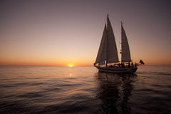 Online Store - Purchase