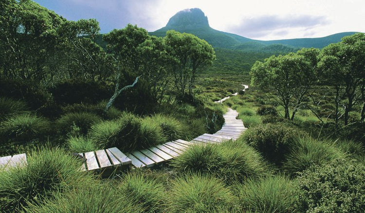 Tasmanian Walking Company